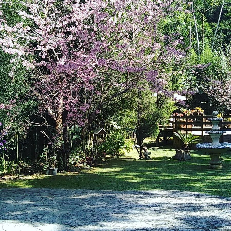 Havila Arara Azul نوفا فريبورغو المظهر الخارجي الصورة